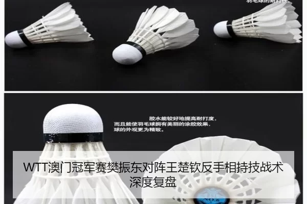 ao-men-guan-jun-sai-fan-zhen-dong-dui-zhen-wang-chu-qin-fan-shou-xiang-chi-ji-zhan-shu-shen-du-fu-pan-3-594.jpg